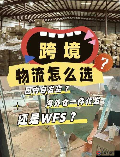 欧洲码与日本码专线：跨境物流的新选择