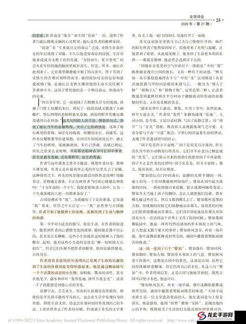 文章站着从后面是不是要紧一些：深度解析与探讨