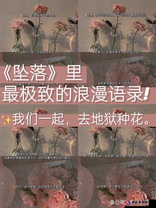 双子母线 1-2 日漫中最火的那句经典台词：极致浪漫与奇幻交织的双子母线 1-2 日漫世界