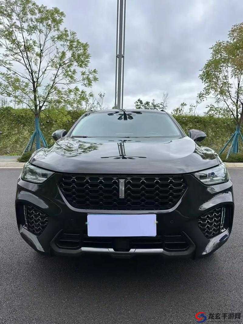 WEY VV5 国产 SUV 性能究竟如何深入剖析