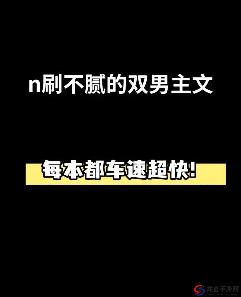 车速超快的双男主：风驰电掣中的热血与激情之旅