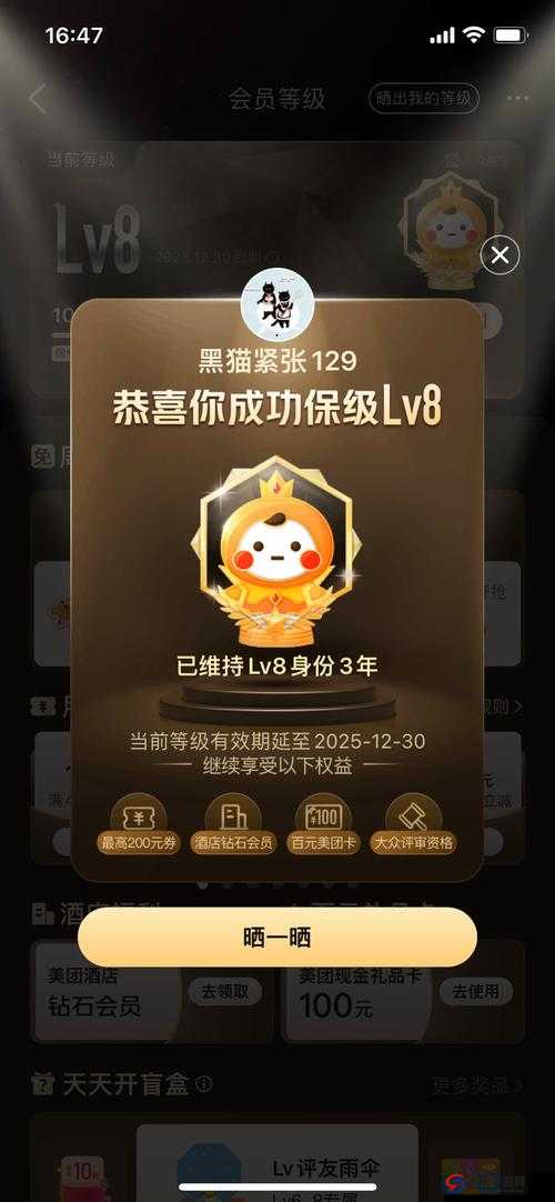 谁是 V8 成品人：探究 V8 成品人身份的真相