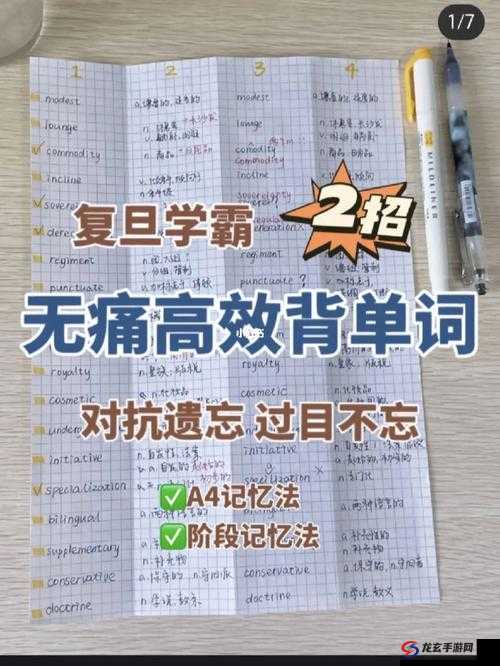 坐在学霸的棍子上背单词小说阅读：带你体验独特的学习之旅