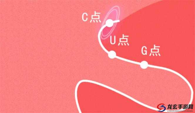 自 w 到高 c 的 25 种方法带图详细解读与示例