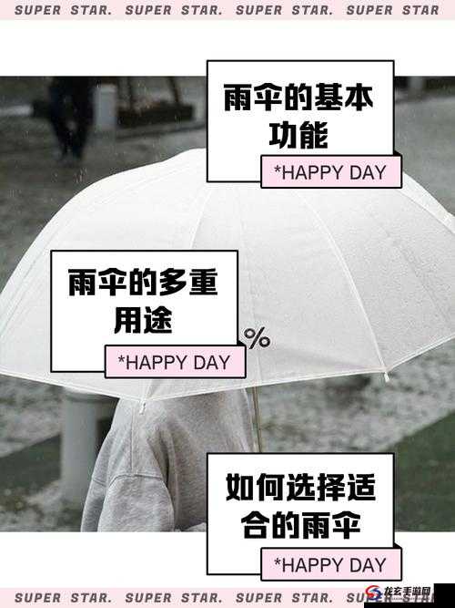 雨伞先生Mr.Umbrella，2025年春节前夕的高空速降冒险之旅纪实