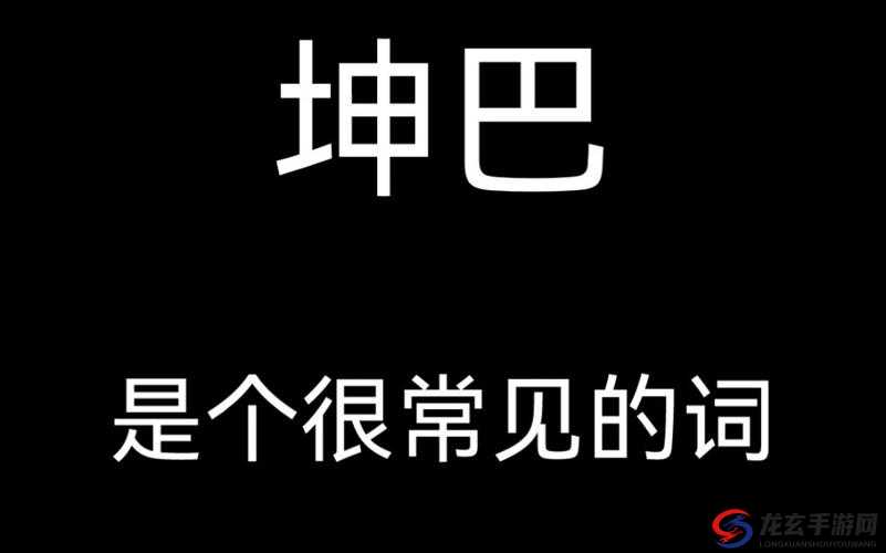 什么是坤巴照片：带你了解其背后的故事和意义