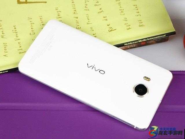 VIVO X21 欧美版被评为国产精品之独特魅力探讨