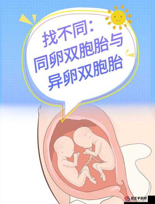 两个奶被揉的又硬又翘是双胞胎吗？：探索身体奥秘的科普之旅