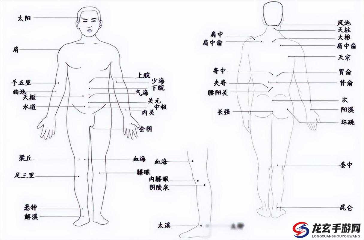 功夫少林游戏深度解析，探索经脉系统的奥秘与运作机制