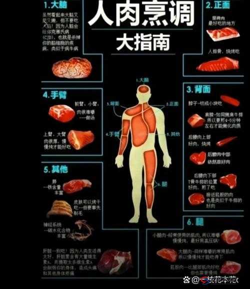 肉食家庭食取报告 1 免费：深入解读肉食家庭饮食情况