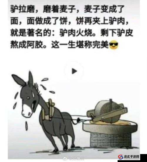 傻大壮长的驴一样的东西：其背后隐藏的神秘故事