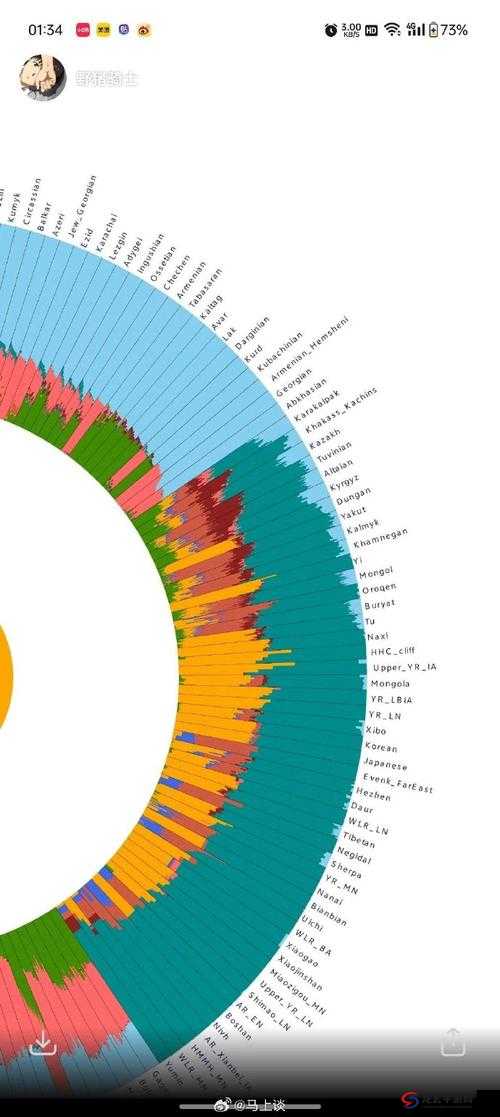 欧洲人与亚洲人的 DNA 对比及其背后的文化和历史差异探讨