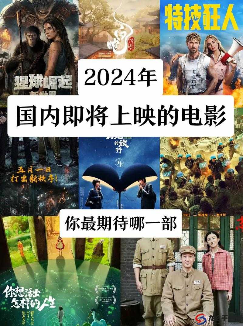 国产精品 2024 ：带来前所未有的优质体验之旅