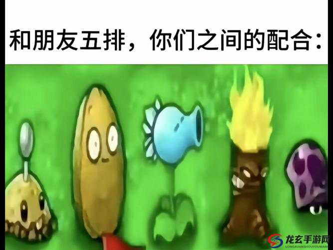 游戏中的社交核心，好友系统，构建玩家间联系与乐趣的桥梁