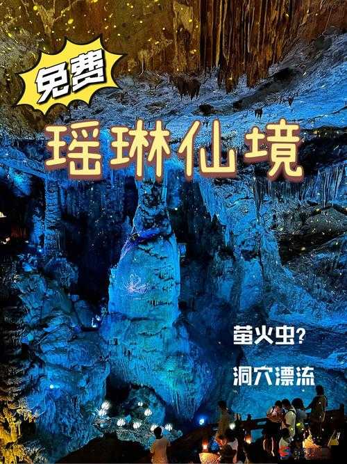 仙踪林入口视频欢迎你：开启奇幻之旅的神秘通道