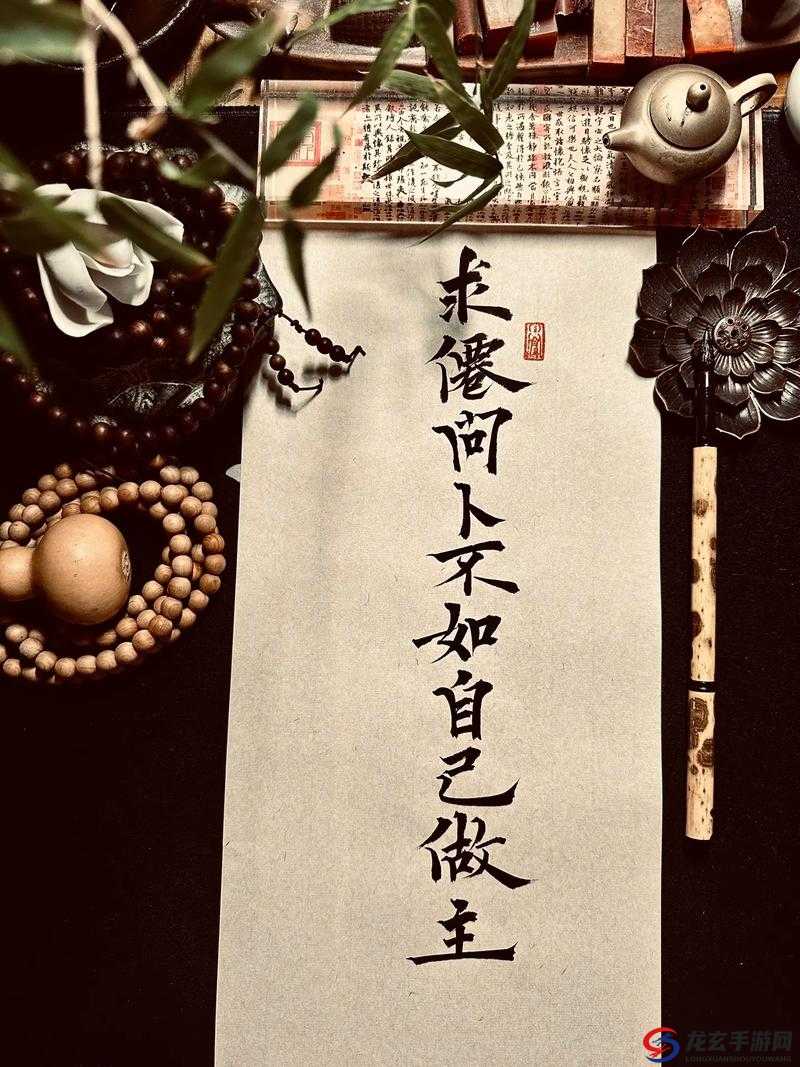 精打细算，把握时间节奏，蛇年修仙路上的智慧选择与坚持奋斗