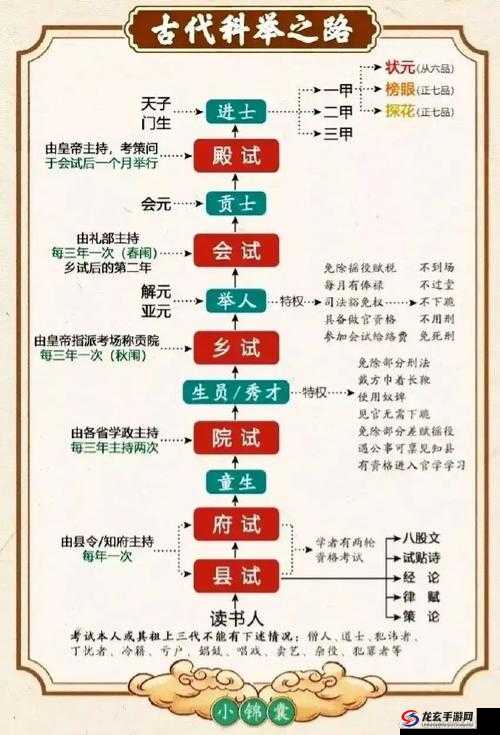 天下X天下科举状元玩法全解析，详细图文教程助你夺魁