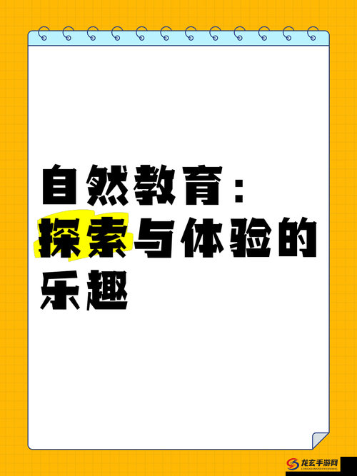 去同事家换着玩：探索不一样的互动乐趣与体验