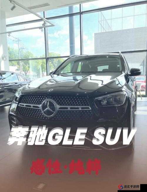 欧美日韩精品SUV：畅享舒适与豪华的卓越座驾之选