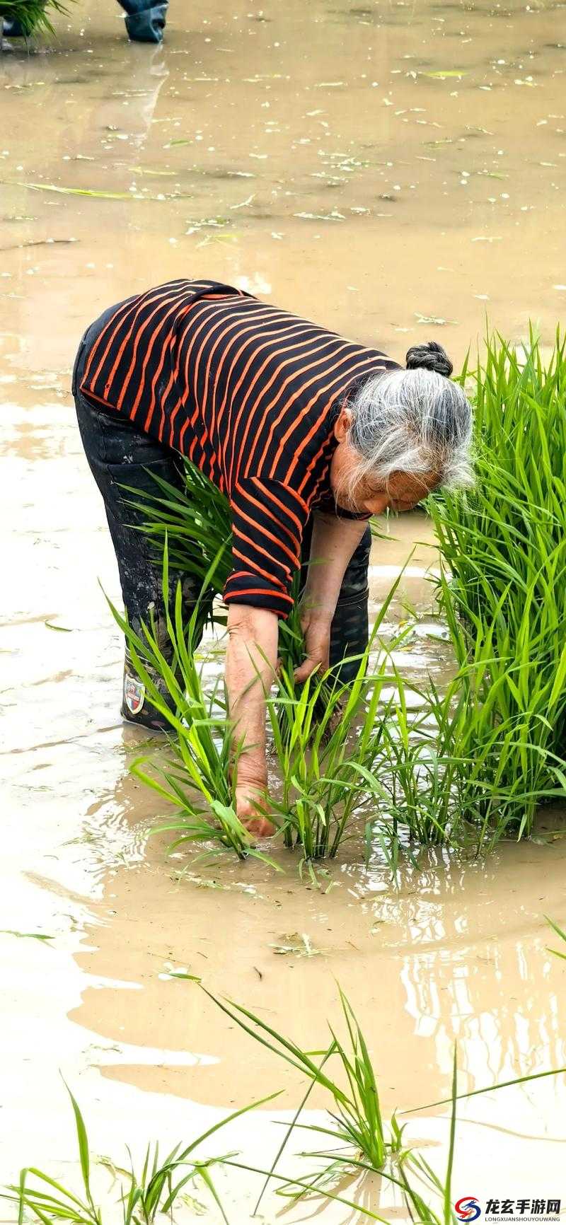 夫妻生活技巧分享：探索一百种插秧方法