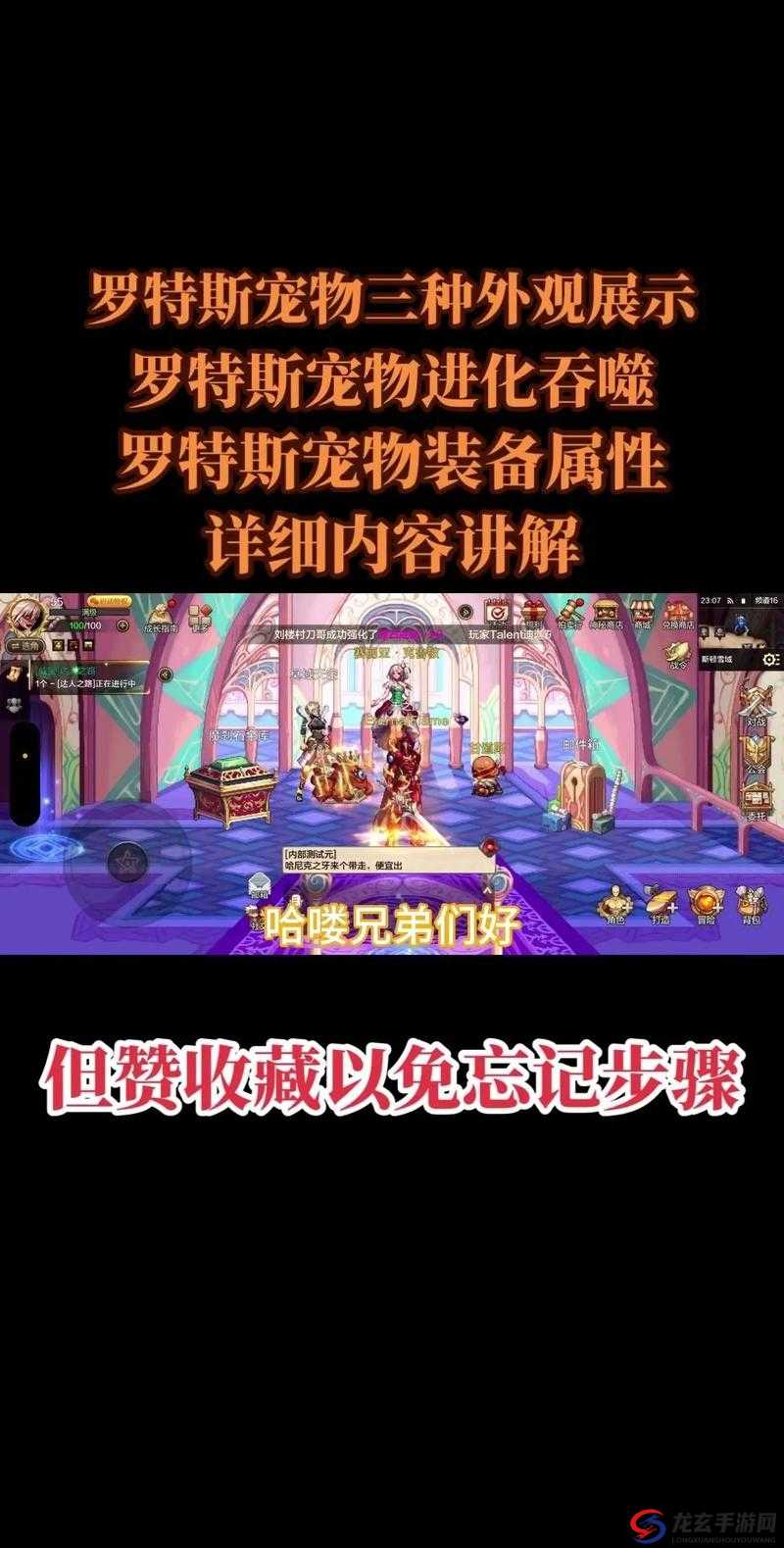 土豪玩家必看，深入解析刀剑物语宠物系统全面攻略