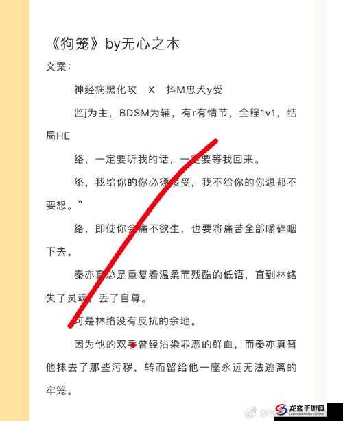 极度另类且最残忍的 BDSM 相关内容探索