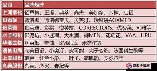 成品网源码 78w78 具特点 ：深度解析其独特优势与价值