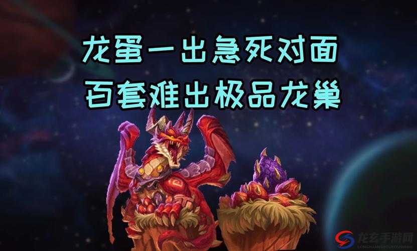 龙巢竞技深度解析，探索神龙武士竞技场的规则与魅力