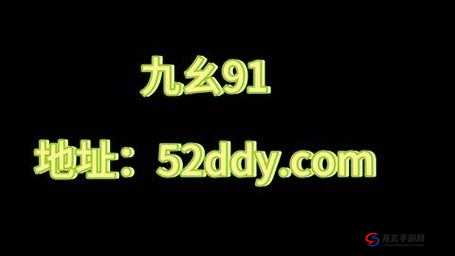 九·幺 9.1 功能的全面揭秘与深度解读