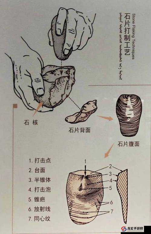 石器时代2游戏深度探索，普通石棒的多样用途与策略利用