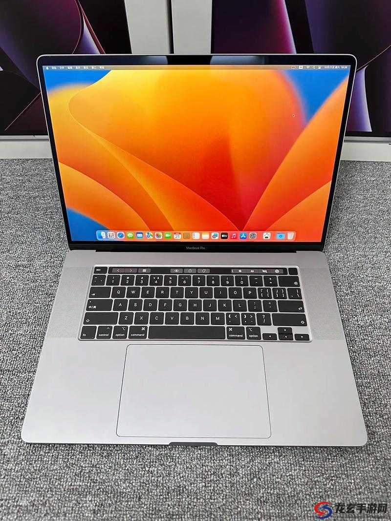 19 岁的 MacBook-Pro：时尚与科技的完美结合