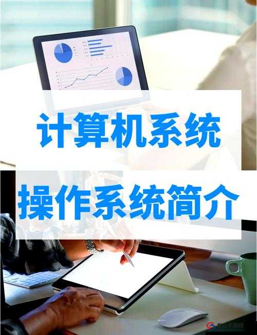 恶意不息适合什么操作系统玩：全方位解析与探讨