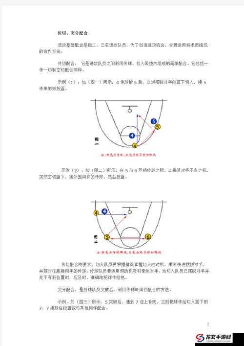 篮球梦之队战术深度解析，作用剖析、高效管理技巧及避免资源浪费策略