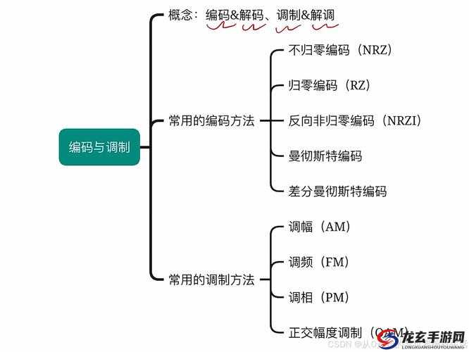 亚洲无人区码二码三码区别图详解：如何快速识别与区分不同编码系统？