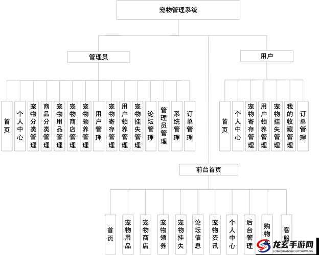 笑傲天龙宠物系统全面解析，资源管理技巧、高效利用策略与价值最大化途径