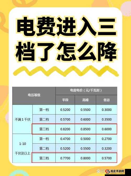 2024年免费三色电费政策解读：如何申请及享受优惠？详细指南全解析