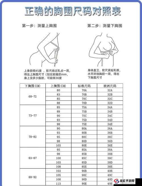 亚洲尺码与欧洲尺码专线有何差异？如何正确选择适合自己的尺码？