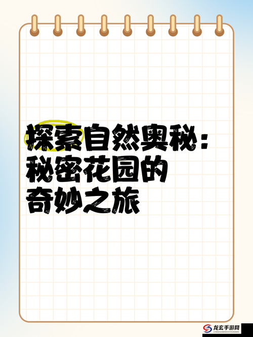 好大好硬好深好爽：探索极致体验的奥秘与感受，带你领略前所未有的快感之旅