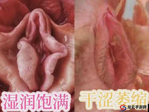 少妇私密部位特写：水流如注，是性奋还是疾病？