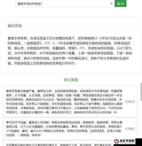 提问：色就是你 1575 到底是什么意思？其背后有着怎样的故事和含义？