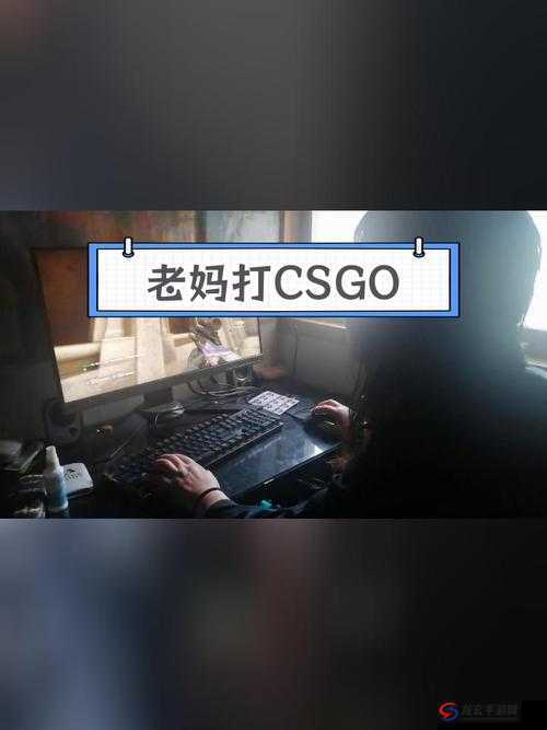 妈妈玩CSGO的搞笑瞬间：看她如何从新手变成游戏高手，全程笑料不断