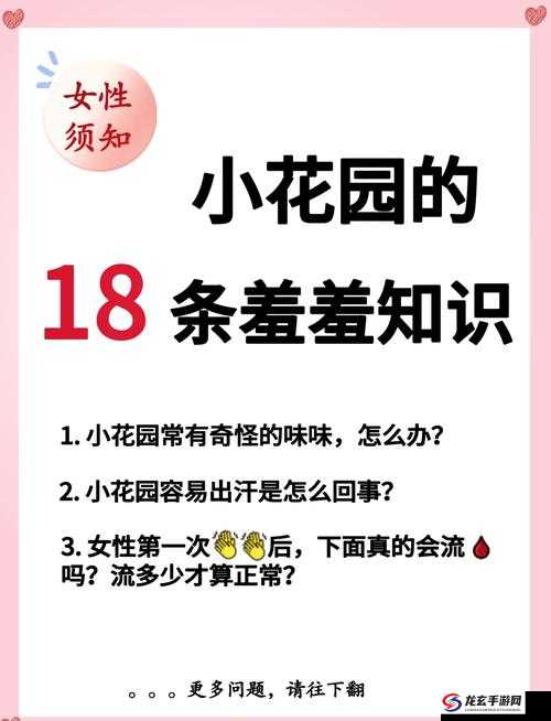 小花园出水问题解决方案：怎么罚自己小花园出水才能有效避免积水困扰？