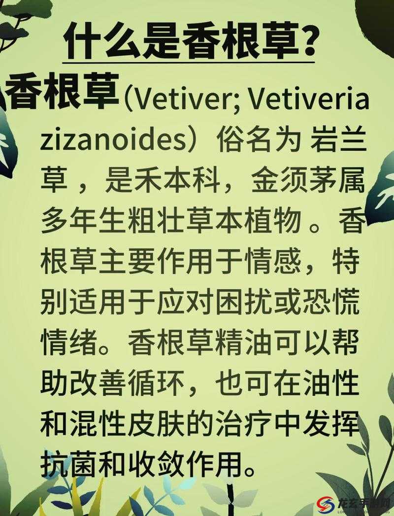 嫩草成熟的香味在线观看：如何体验自然与季节的完美交融？探索视觉与嗅觉的双重享受