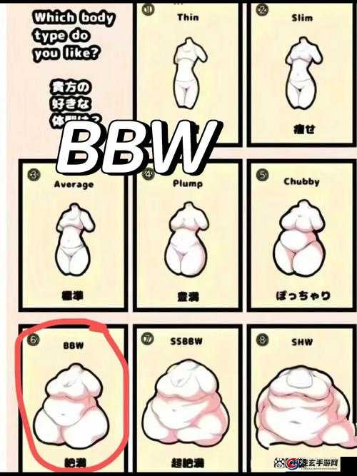 BBW、BBw、BBw、BBW 肥大是什么意思？为何会出现这种现象？