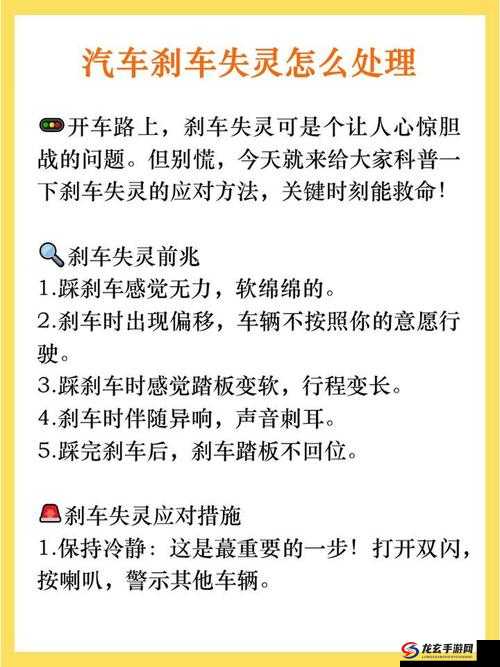 公交车上一个刹车它进去了：乘客如何应对突发状况与安全提示