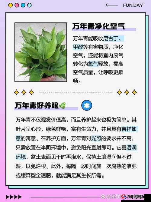 探索精品国产青草久久久久福利的独特魅力：揭秘高品质草种的种植与养护技巧