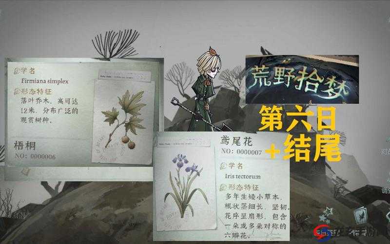 如何在第五人格植树节荒野拾梦活动中高效获取全部奖励？