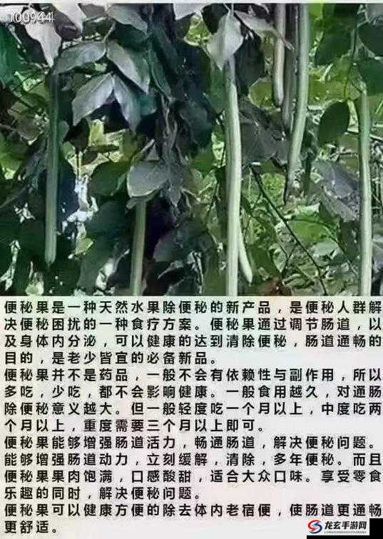 便秘时吃果冻到底对身体有没有害？专家详细解读