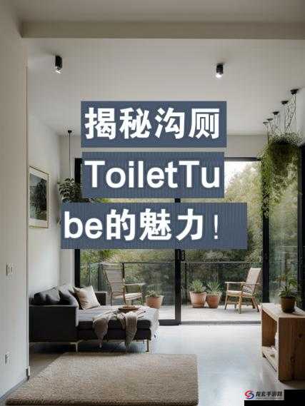 探索中国公厕toilet美女沟厕的独特魅力：揭秘其设计、文化与用户体验的全方位解析