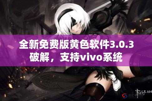 3.0.3 免费 vivo 版破解版究竟是什么？它有哪些特别之处和优势？需注意，使用破解版软件可能涉及侵权和违反法律法规，不建议进行传播和使用